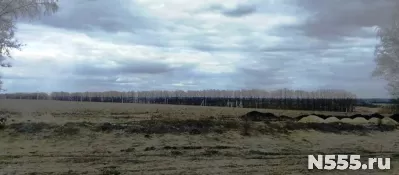 Участок земли 2,6 ( 3 км от г. Пензы, направление на Москву) фото 3