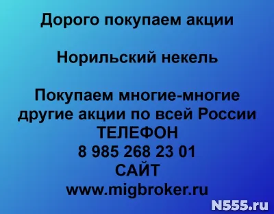 Продать акции Норильский никель. Выгодный курс акций Покупка акций